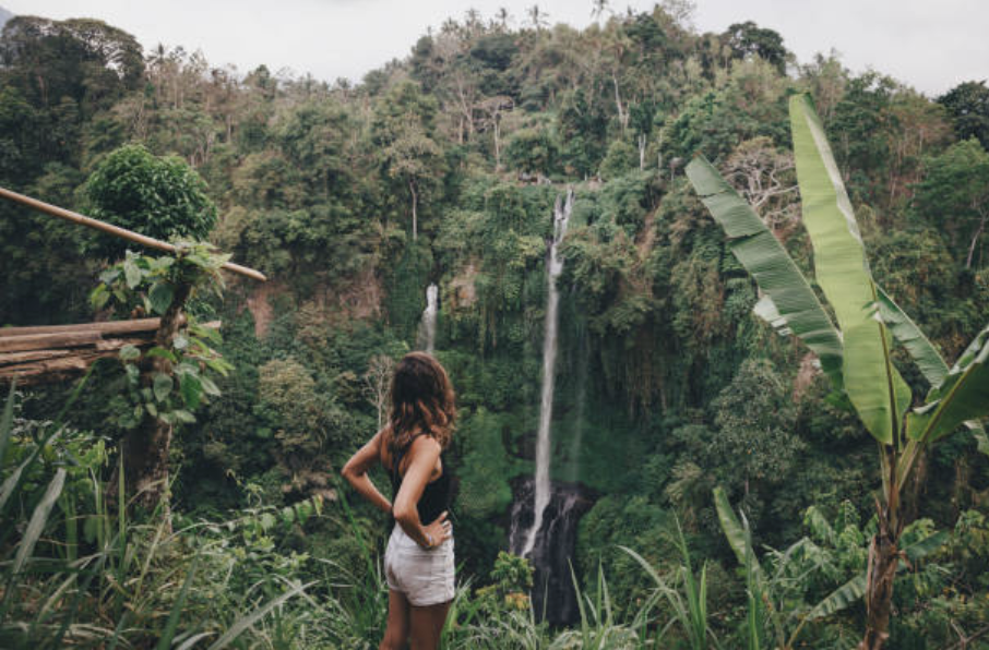 Sacred Monkey Forest Ubud